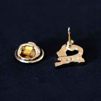 Broche Biomedicina folheado a ouro em um fundo branco, visto por trás. É possível ver o alfinete e o encaixe do bottom.