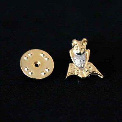 Broche Pedagogia folheado a ouro em um fundo preto. A peça tem formato setas horizontais que apontam uma para a outra.